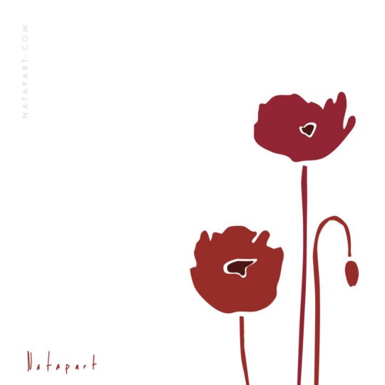 POPPIES FLAT 2 RED A ILLUSTRATION