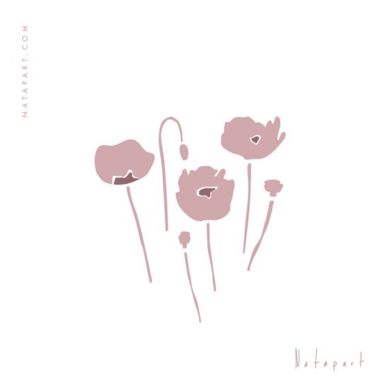 POPPIES FLAT 2 MAUVE B ILLUSTRATION