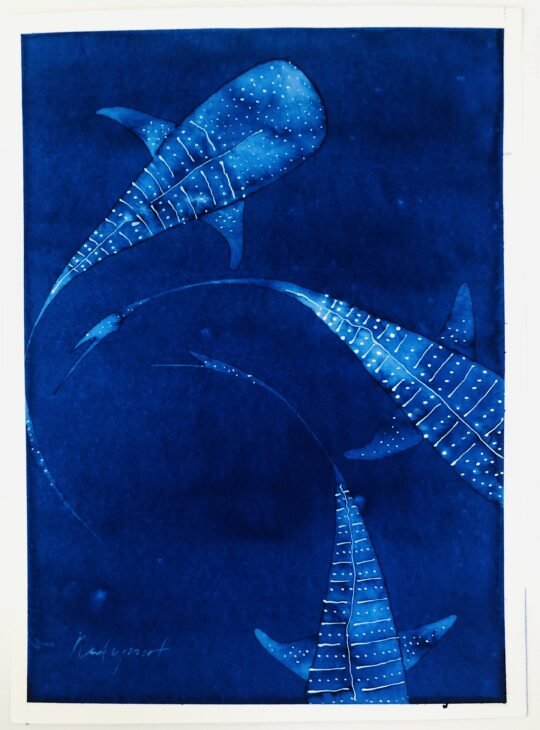 PRIVATE SALE - Whale Sharks - Image 2