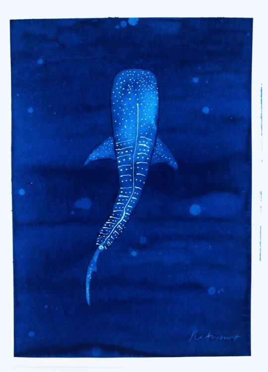 PRIVATE SALE - Whale Sharks